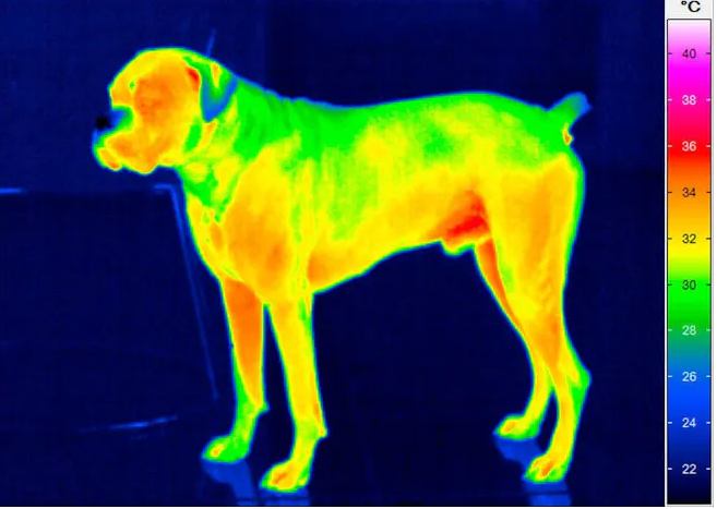 Photonic Research